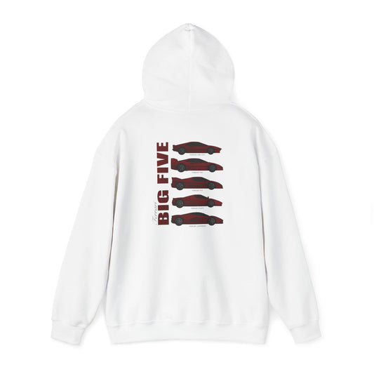 Ferrari Big Five Hoodie